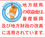 地方競馬