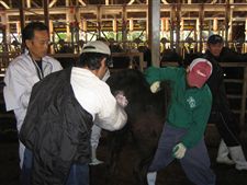 daigaku_20091022012.jpg