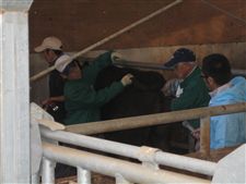 fureai20101104015.jpg