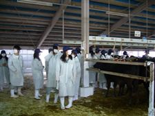 fureai_20101109005.jpg