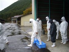 fureai_20101109013.jpg
