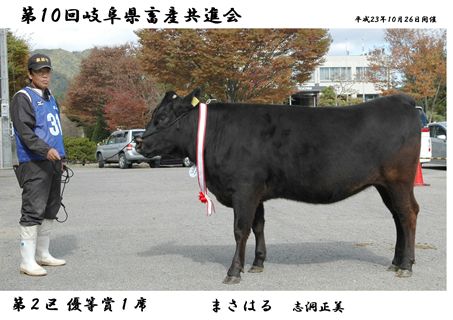 wagyu_20111026001.JPG